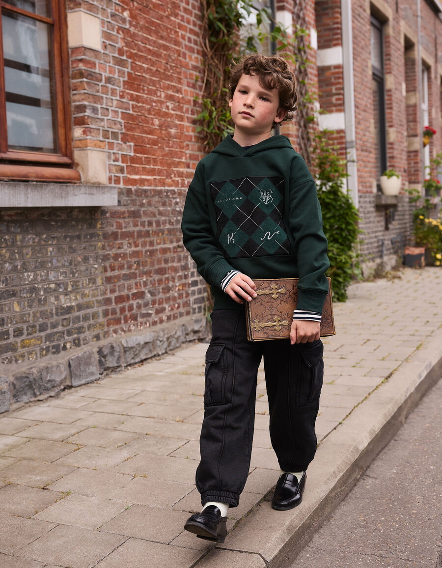 sudadera verde a cuadros con bordado de harry potter para niño