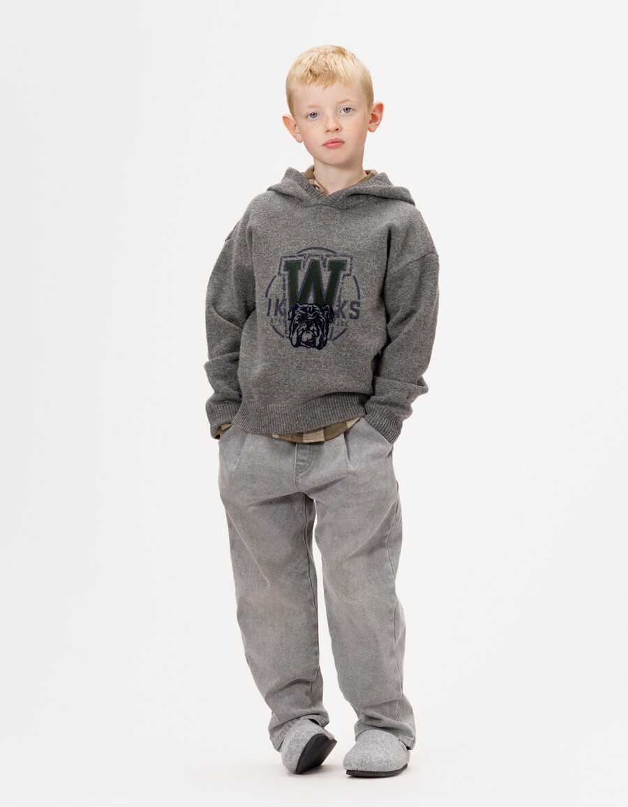 sudadera con capucha de punto gris para niño con imagen de perro