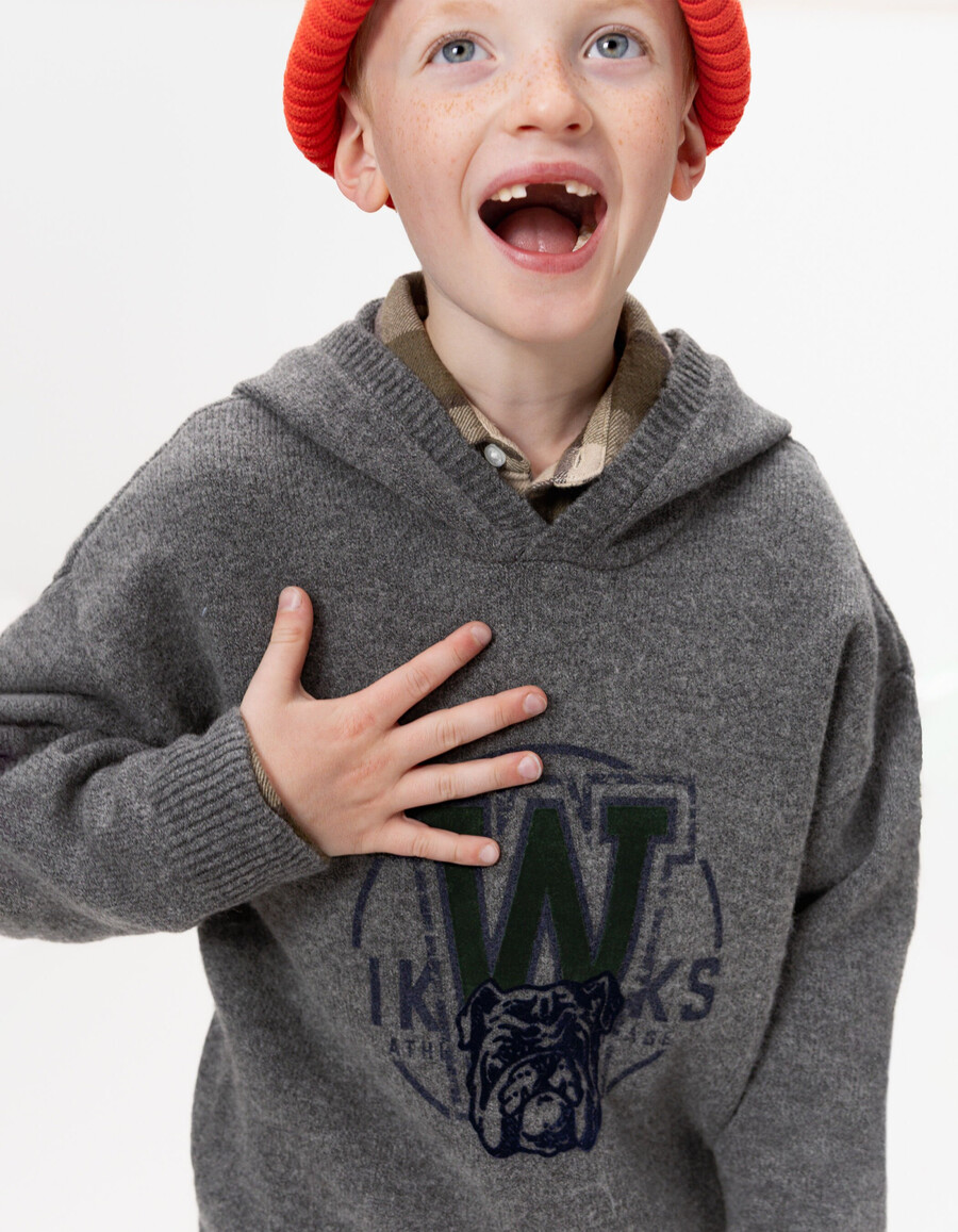 sudadera con capucha de punto gris para niño con imagen de perro