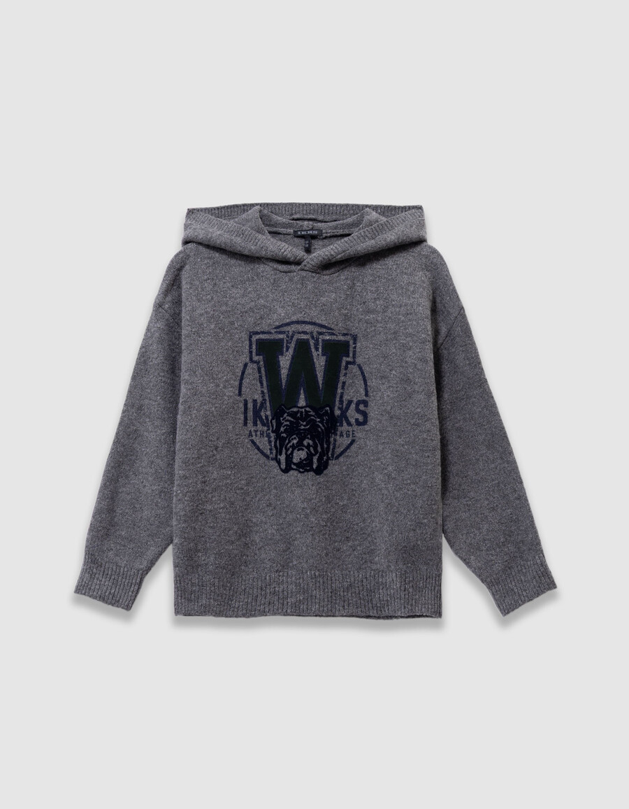 sudadera con capucha de punto gris para niño con imagen de perro