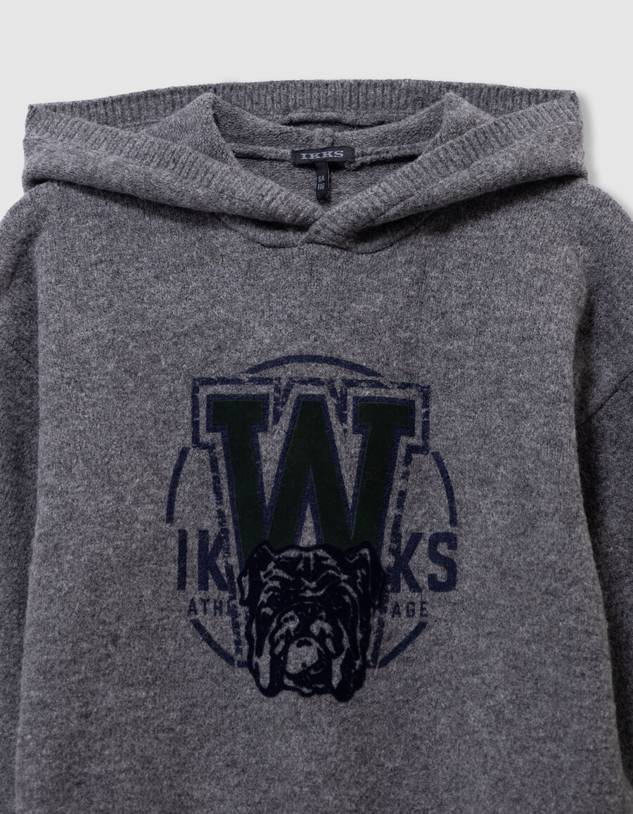 sudadera con capucha de punto gris para niño con imagen de perro