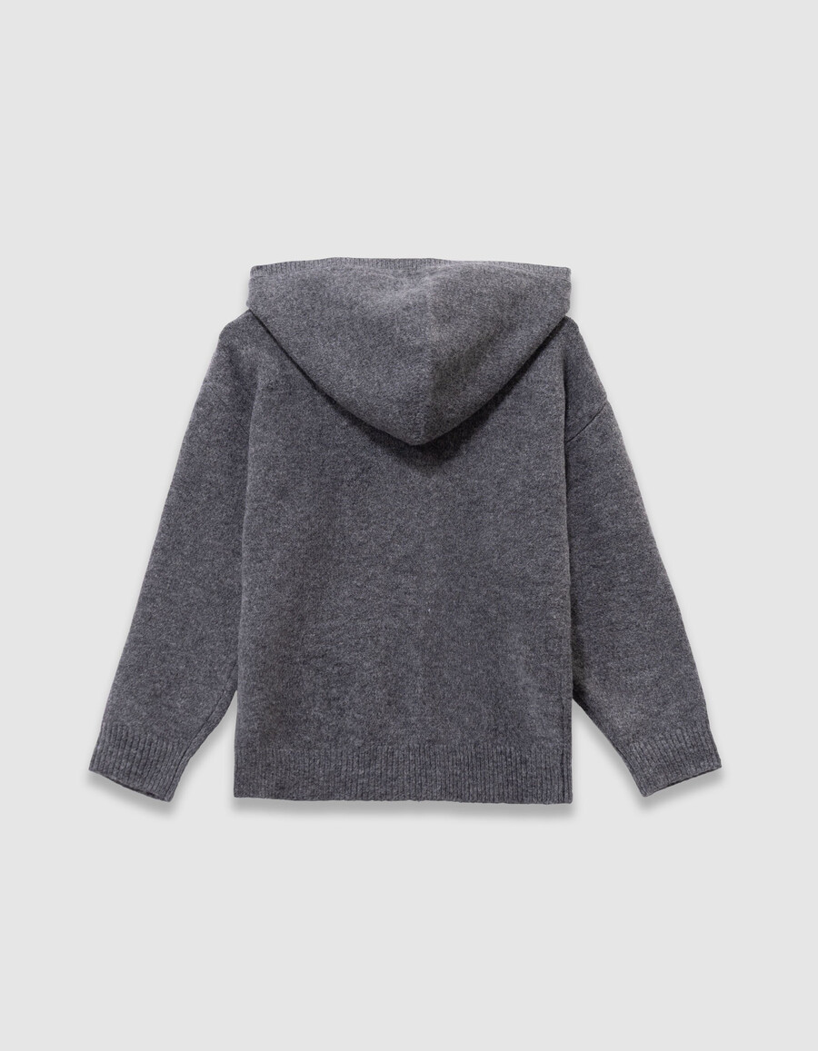 sudadera con capucha de punto gris para niño con imagen de perro