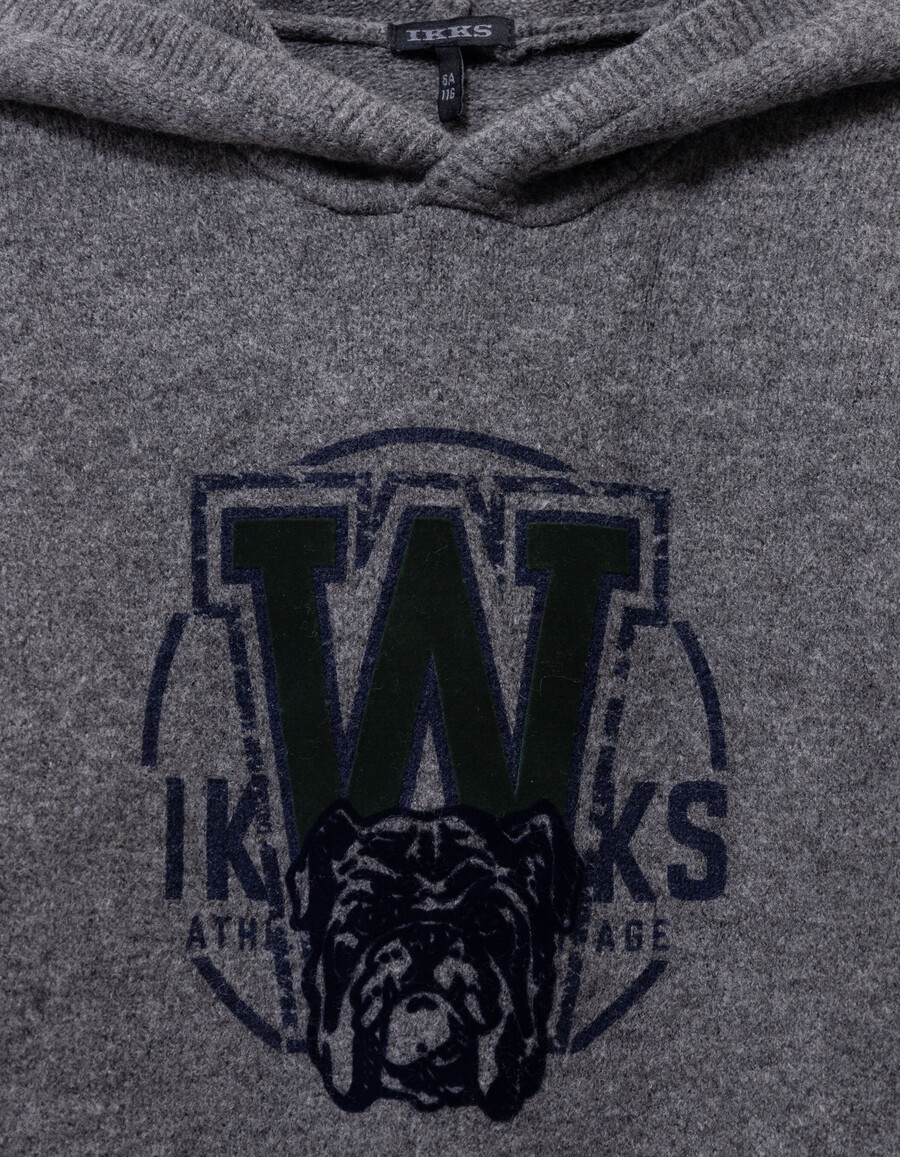 sudadera con capucha de punto gris para niño con imagen de perro