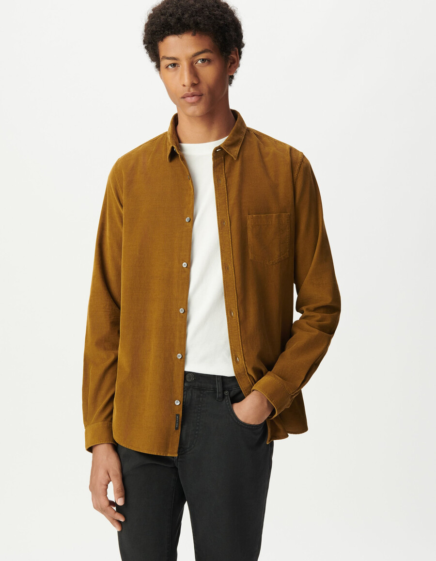 camisa regular de algodón orgánico amarilla de pana de aguja para hombre