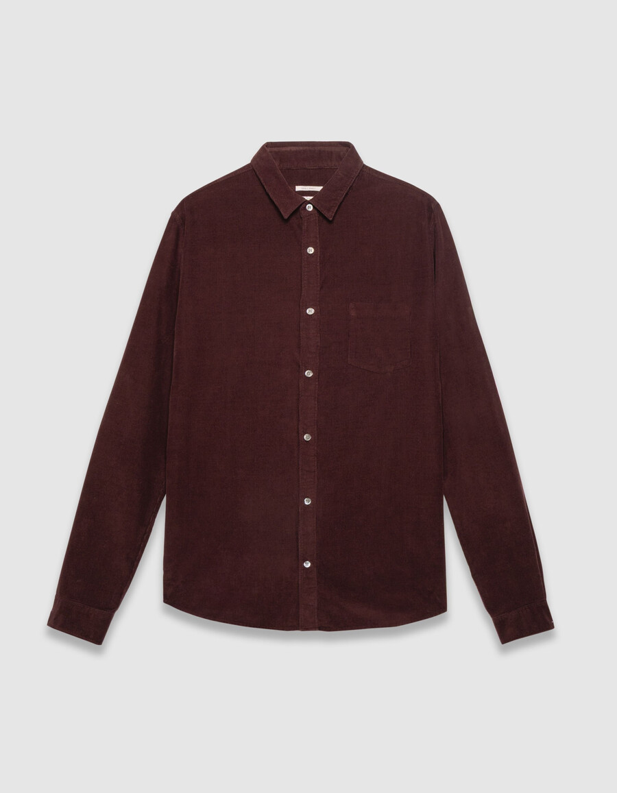 camisa regular de pana de algodón orgánico color ciruela para hombre
